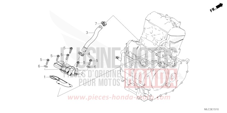 COUVERCLE DE RENIFLARD for Transalp 750 ROSS WHITE (NH196) from 2023